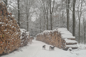 Schnee bei Steinbach